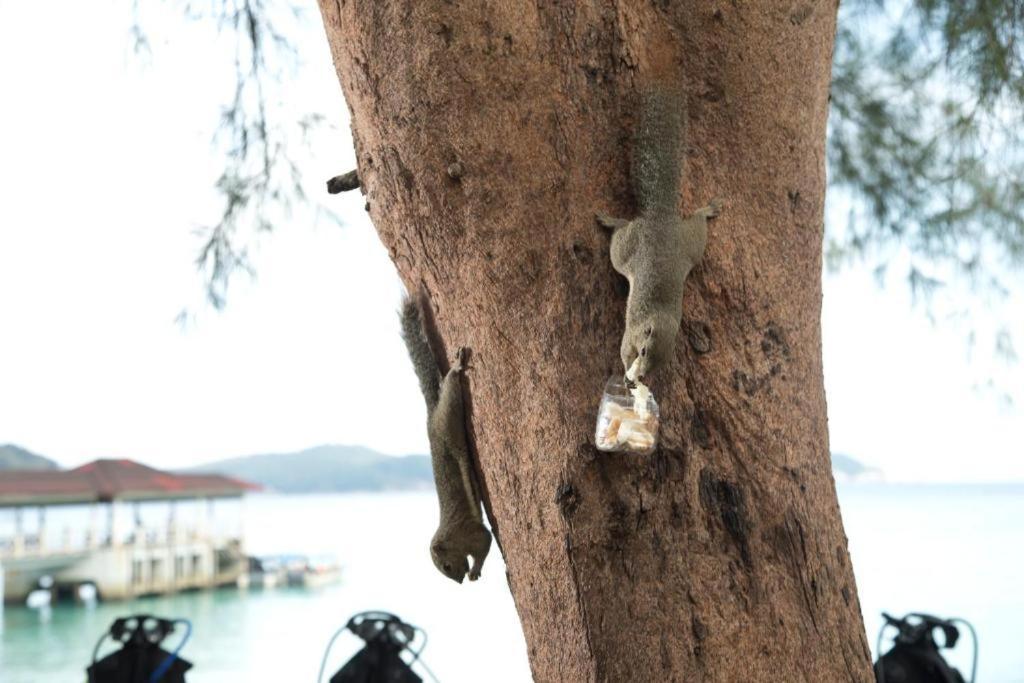 Perhentian Island Resort Экстерьер фото