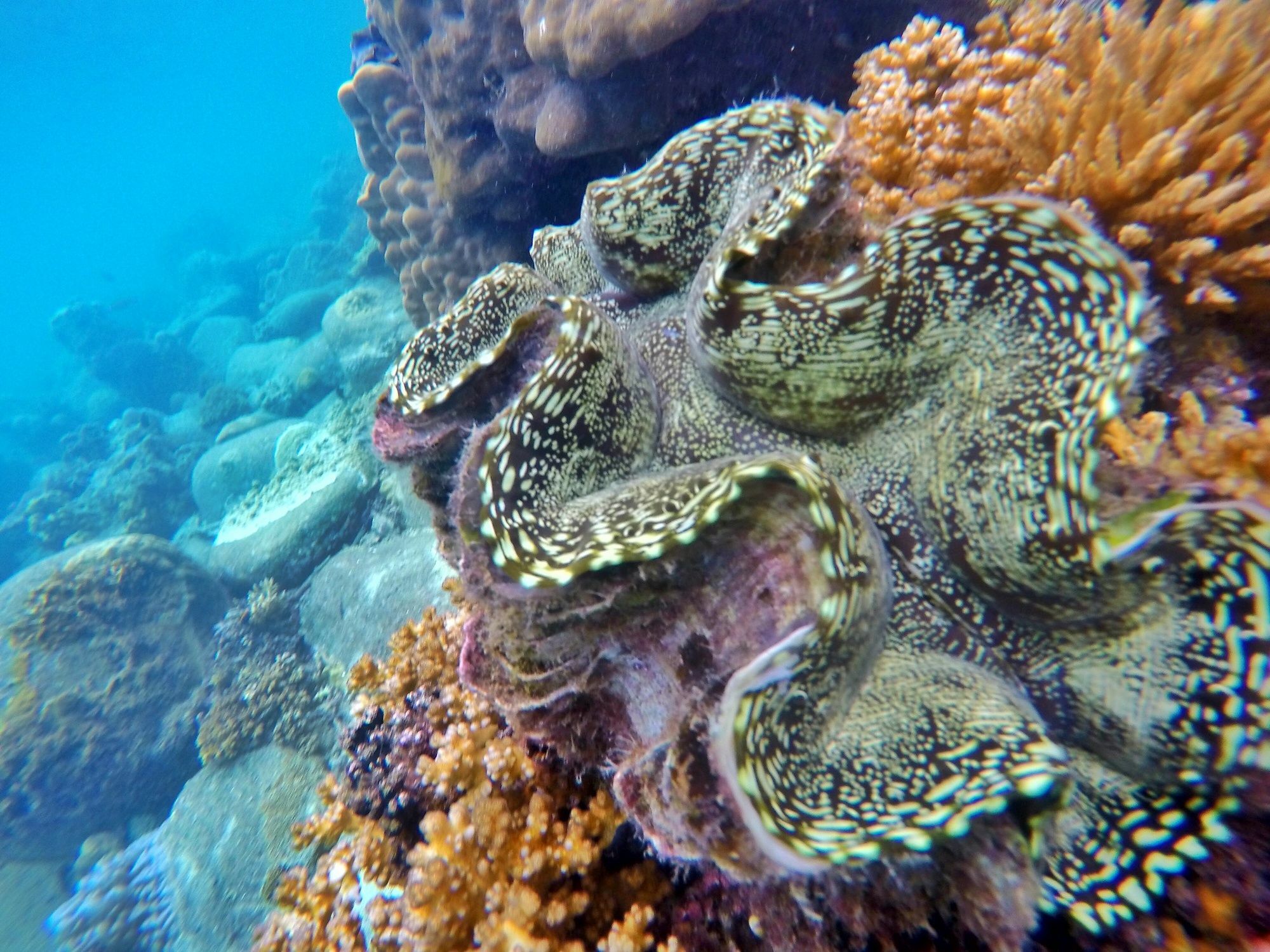 Perhentian Island Resort Экстерьер фото